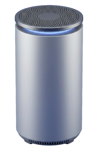 Ionizer